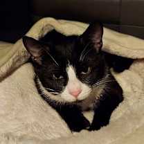 Thumbnail photo of Natasha #4