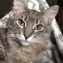 Thumbnail photo of Kiki #3