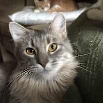 Thumbnail photo of Kiki #4