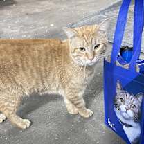 Thumbnail photo of BUTTERS-a lovable softy #3