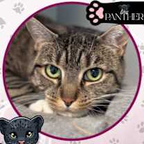 Thumbnail photo of Hermione #1