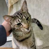 Thumbnail photo of Gravy #4