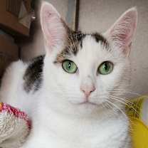 Thumbnail photo of Peta #1