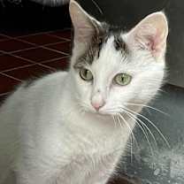 Thumbnail photo of Peta #3