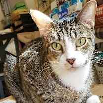 Thumbnail photo of Happy #1