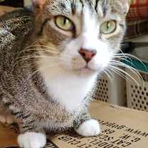 Thumbnail photo of Happy #2