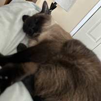 Thumbnail photo of Summer #3