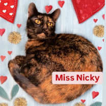 Thumbnail photo of Miss Nicky at Martinez Pet Food Express  July 12th #2
