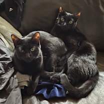 Thumbnail photo of March / Tobie (October) #1