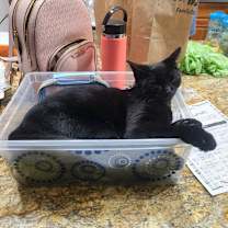 Thumbnail photo of March / Tobie (October) #4