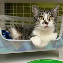 Thumbnail photo of Luna Lu #4