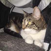 Thumbnail photo of Mama & Baby #2