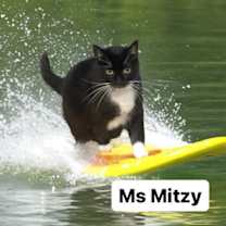 Thumbnail photo of Ms Mitzy at Martinez Pet Food Express   May 24th #2