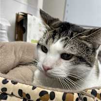 Thumbnail photo of Buddy #3