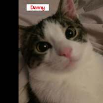 Thumbnail photo of Danny Wood #2