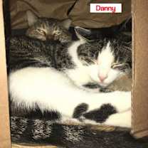 Thumbnail photo of Danny Wood #3