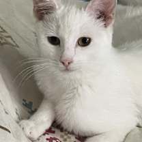 Thumbnail photo of Anita #2