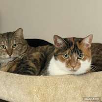 Thumbnail photo of Tippy #4