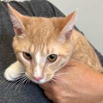 Thumbnail photo of Duane #1