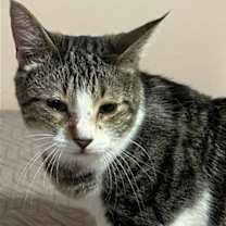 Thumbnail photo of Dolly #1