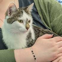 Thumbnail photo of Lucy #1