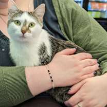Thumbnail photo of Lucy #3