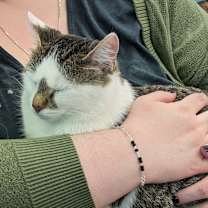 Thumbnail photo of Lucy #4