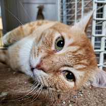Thumbnail photo of Buddy #1