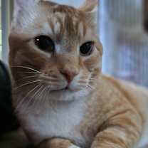 Thumbnail photo of Buddy #3