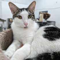 Thumbnail photo of Alex #1