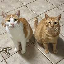 Thumbnail photo of Bonnie #1