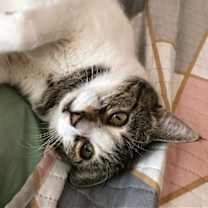 Thumbnail photo of Dolly #2