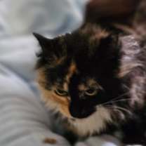 Thumbnail photo of Maya #4