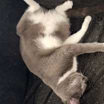 Thumbnail photo of Jethro Napa HM #2