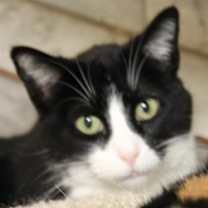 Thumbnail photo of Addy #1