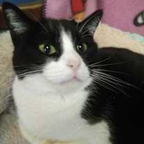 Thumbnail photo of Addy #3