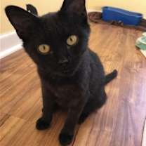 Thumbnail photo of Kodama ♥ #3