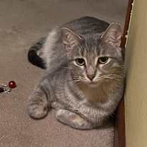 Thumbnail photo of Pokey #2