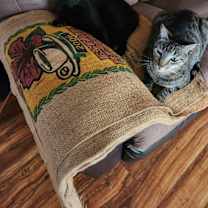 Thumbnail photo of Bruce & Clark #1