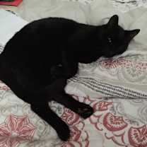 Thumbnail photo of Bruce & Clark #2