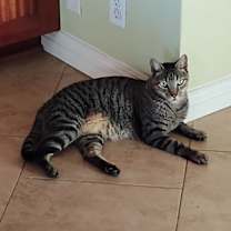 Thumbnail photo of Bruce & Clark #3