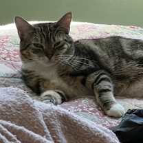 Thumbnail photo of April #2