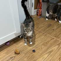 Thumbnail photo of April #3