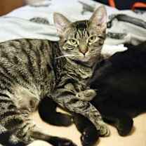 Thumbnail photo of Joann #1