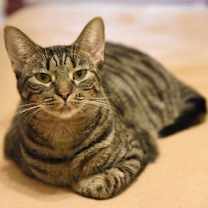 Thumbnail photo of Joann #2