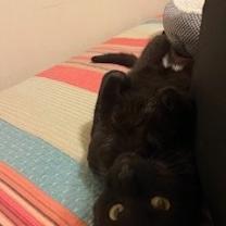 Thumbnail photo of Oscar #4