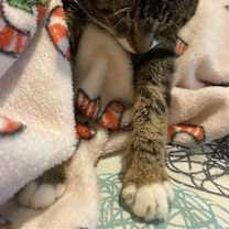Thumbnail photo of Tyrone #2