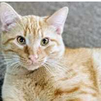 Thumbnail photo of 6635 Prince #1