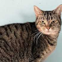 Thumbnail photo of Rio #3