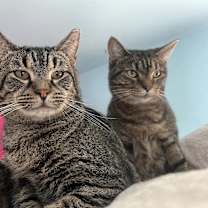 Thumbnail photo of Stephen King #3